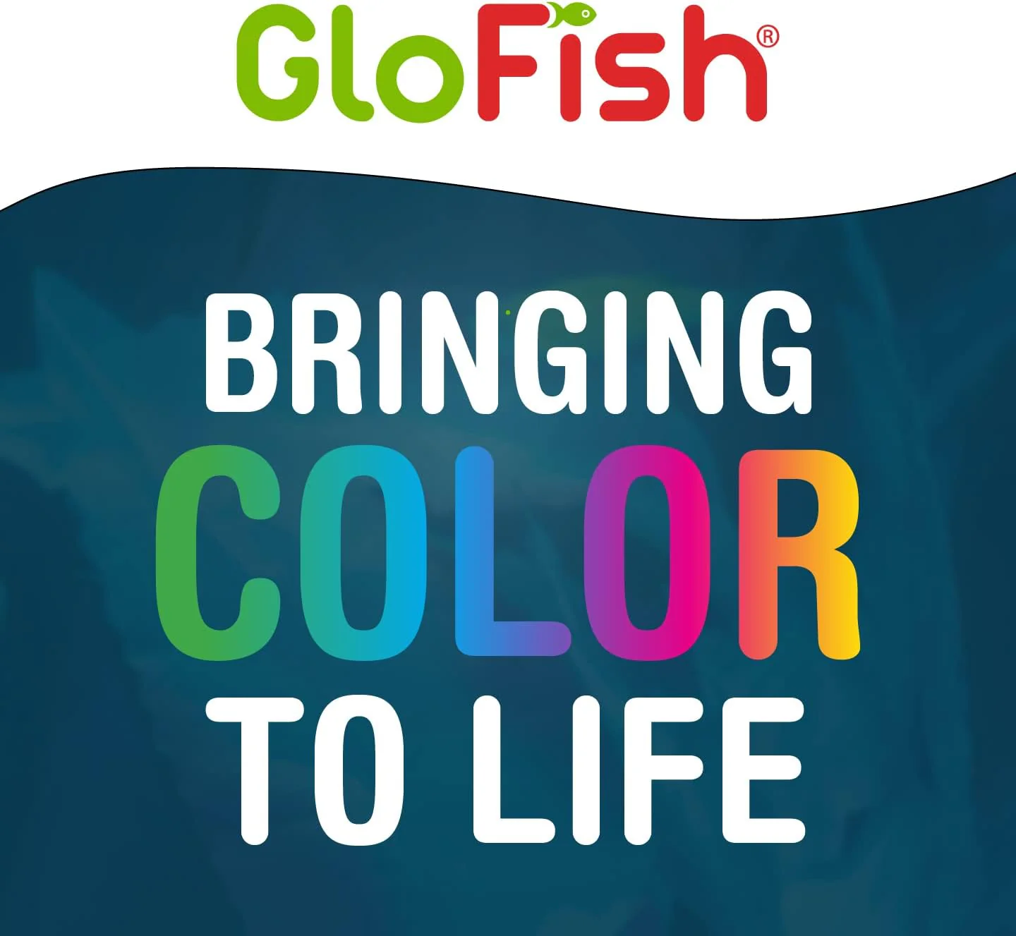 GloFish Aquarium Sand 5 Pounds, Black with Highlights, Complements Tanks and Décor, (AQ-78485) - Image 7