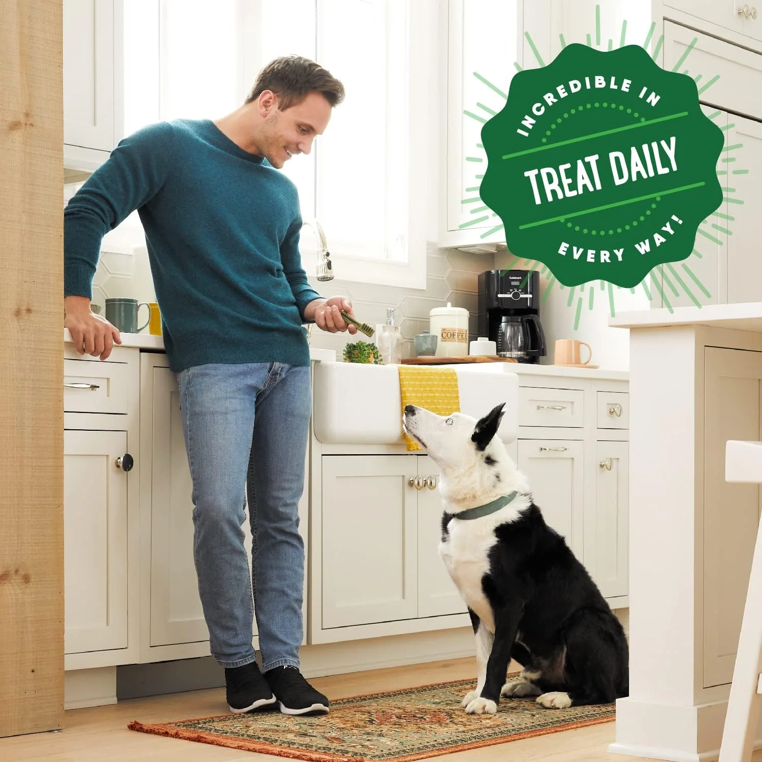 Greenies Regular Natural Dog Dental Treats, Sweet Potato Flavor - Image 10