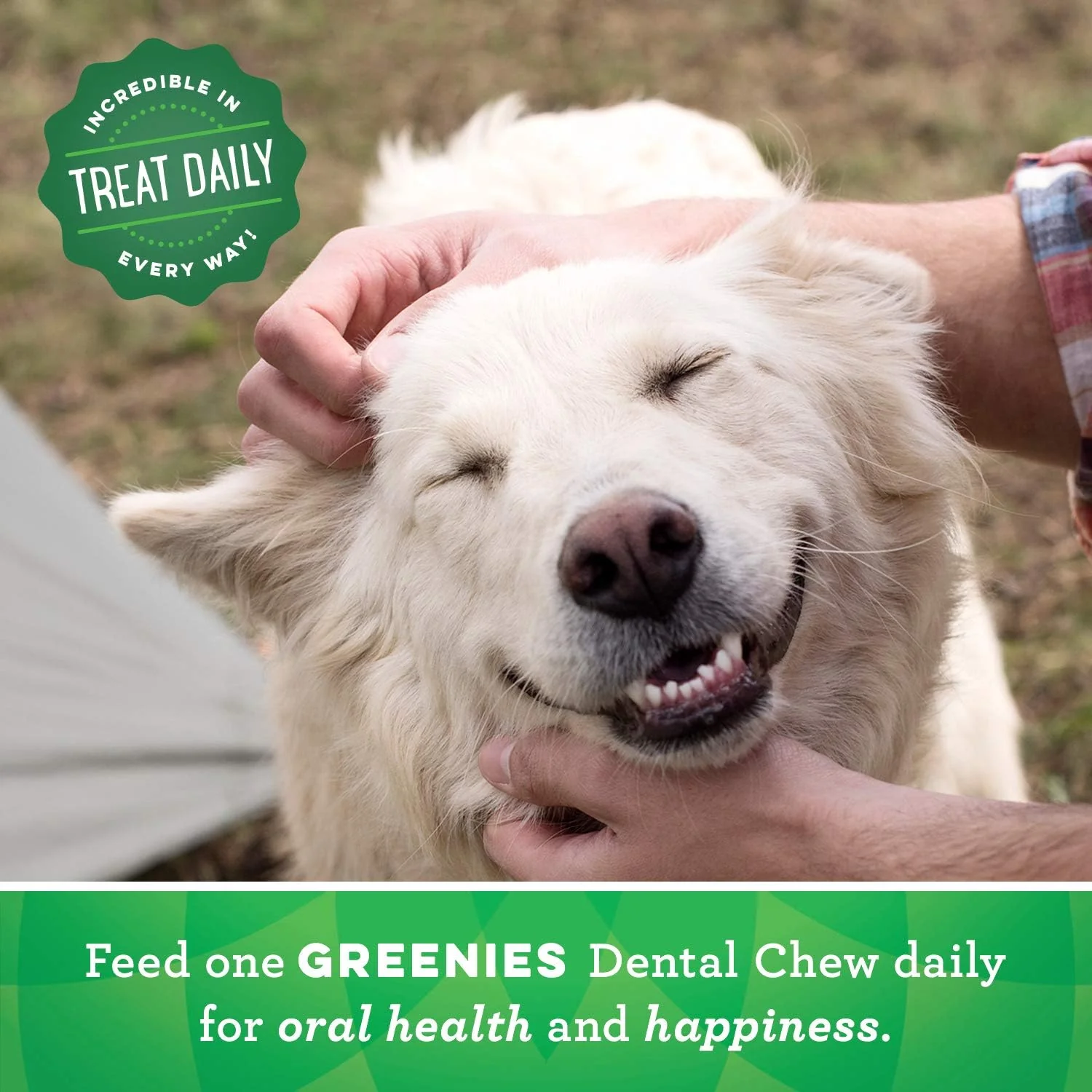 GREENIES Weight Management TEENIE Dental Dog Chews - Image 6