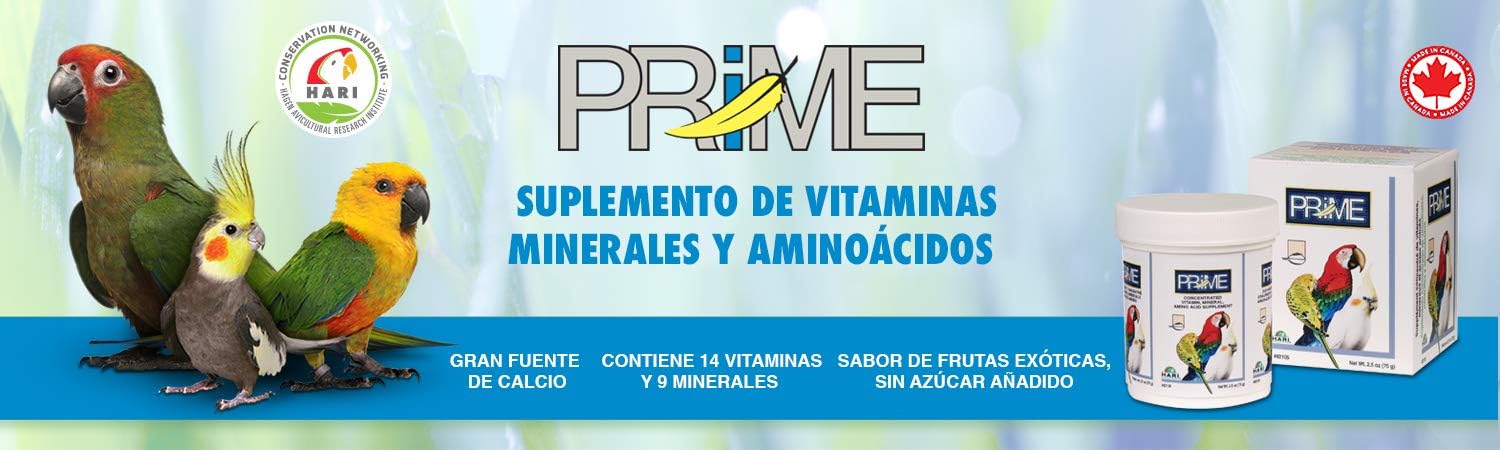 Hagen Prime Parrot Vitamin, Mineral and Amino Acid Supplement for Seed Eating Birds, 1.1 oz - Image 2