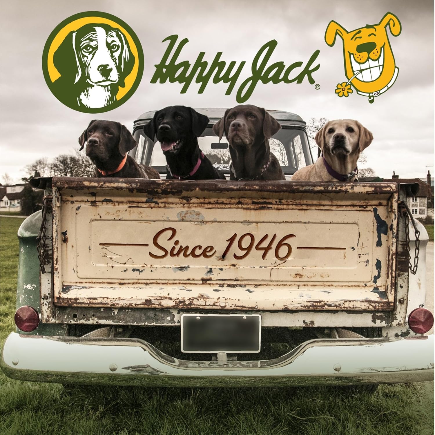 Happy Jack® Cod Liver Oil – 16 oz - Image 8