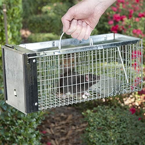 Havahart (6" x 6.375" x 16 0745) Extra Small 1-Door Humane Catch and Release Live Animal Trap for Squirrels, Chipmunks, Rats, Weasels, and Small Animals - Image 2