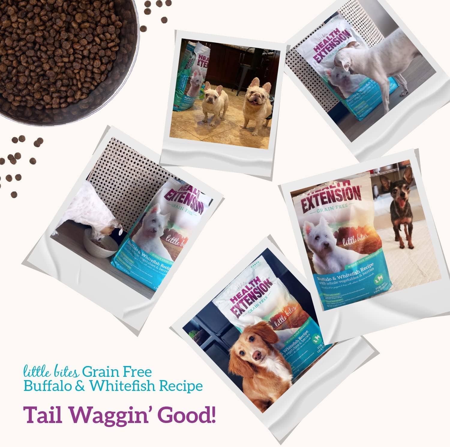 Health Extension Grain Free Buffalo & Whitefish Little Bites (23.5 lb / 10.66 kg) - Small Kibble Formula with Omega 3 & Whole Foods for Teacups, Toys & Miniature Dogs - Image 7