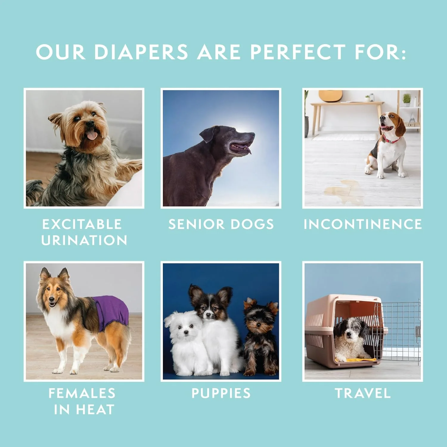 HERO PET Dog Simple Solution Washable Dog Diaper - Image 3