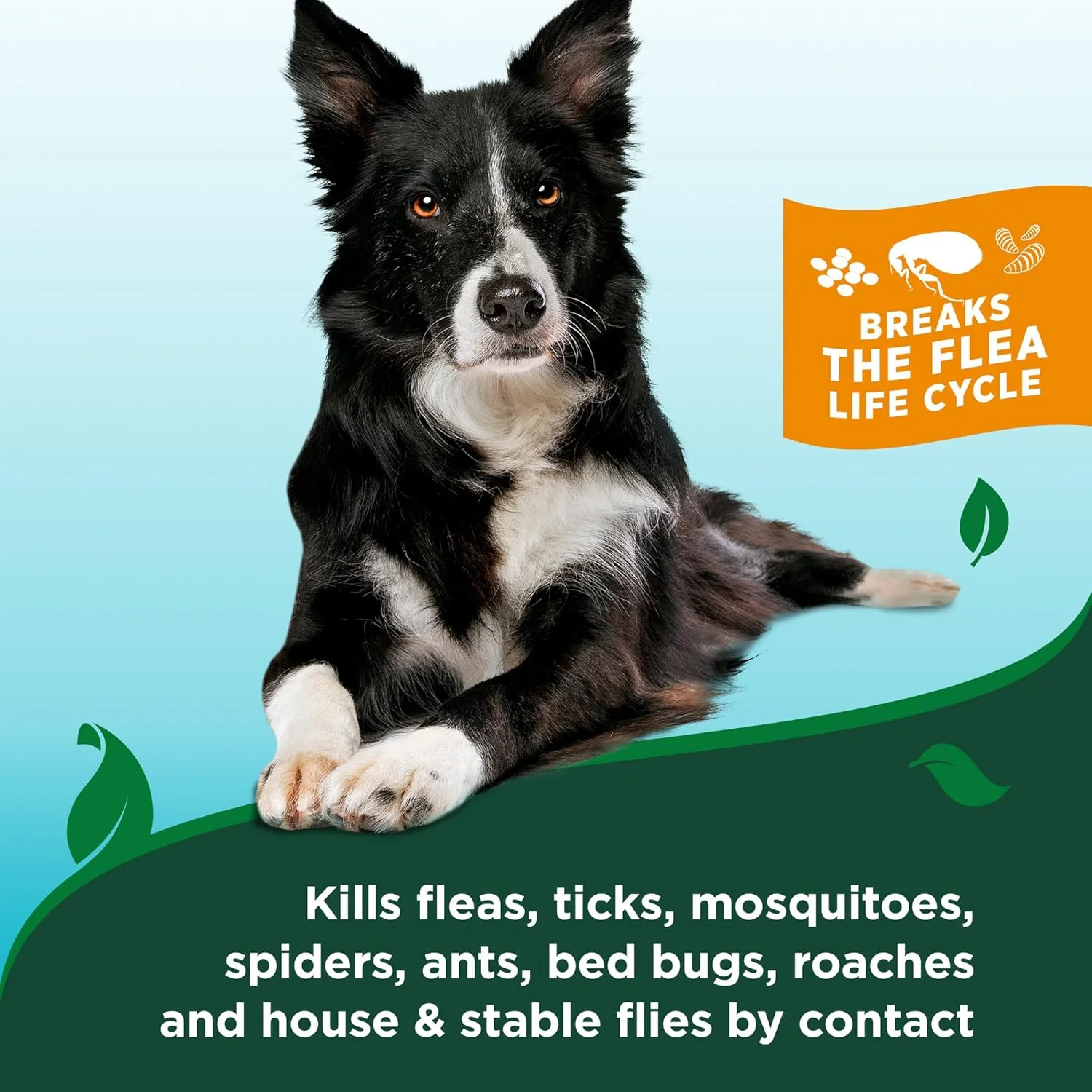 HERO PET Vet's Best Natural Flea and Tick Easy Spray for Dogs – Cotton Spice Scent – Natural Flea & Tick Prevention – Kills Pests on Contact – Plant-Based Formula – Made in USA – 14 oz - Image 2