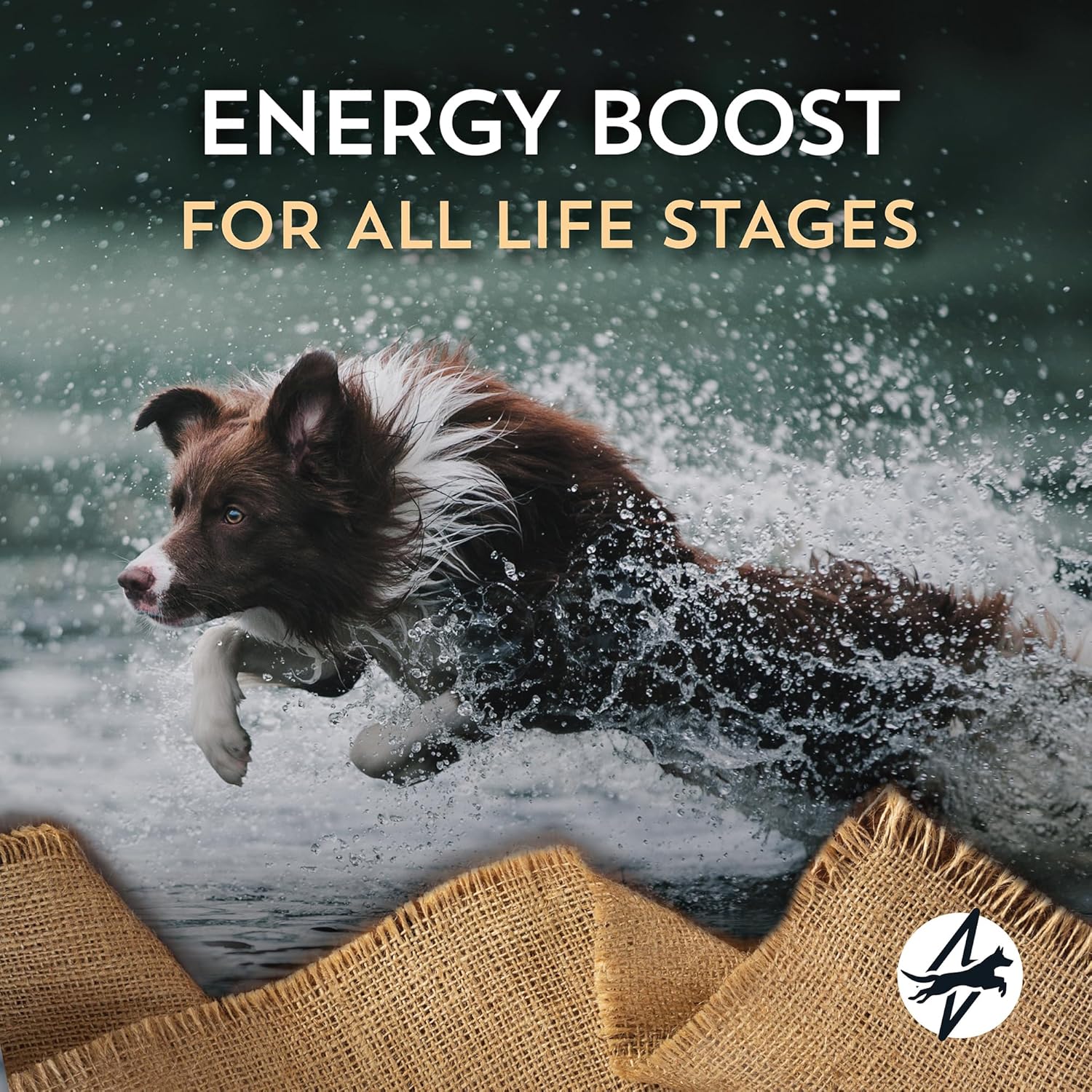 Wholesomes High Energy with Chicken Protein 26/18 Dry Food for Dogs & Puppies 40 lb - Image 4