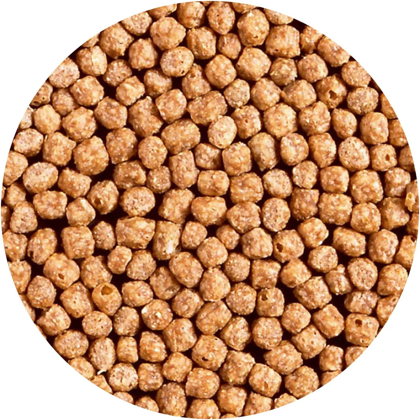 Hikari Goldfish Wheat-Germ Pellets Fish Food - Image 4