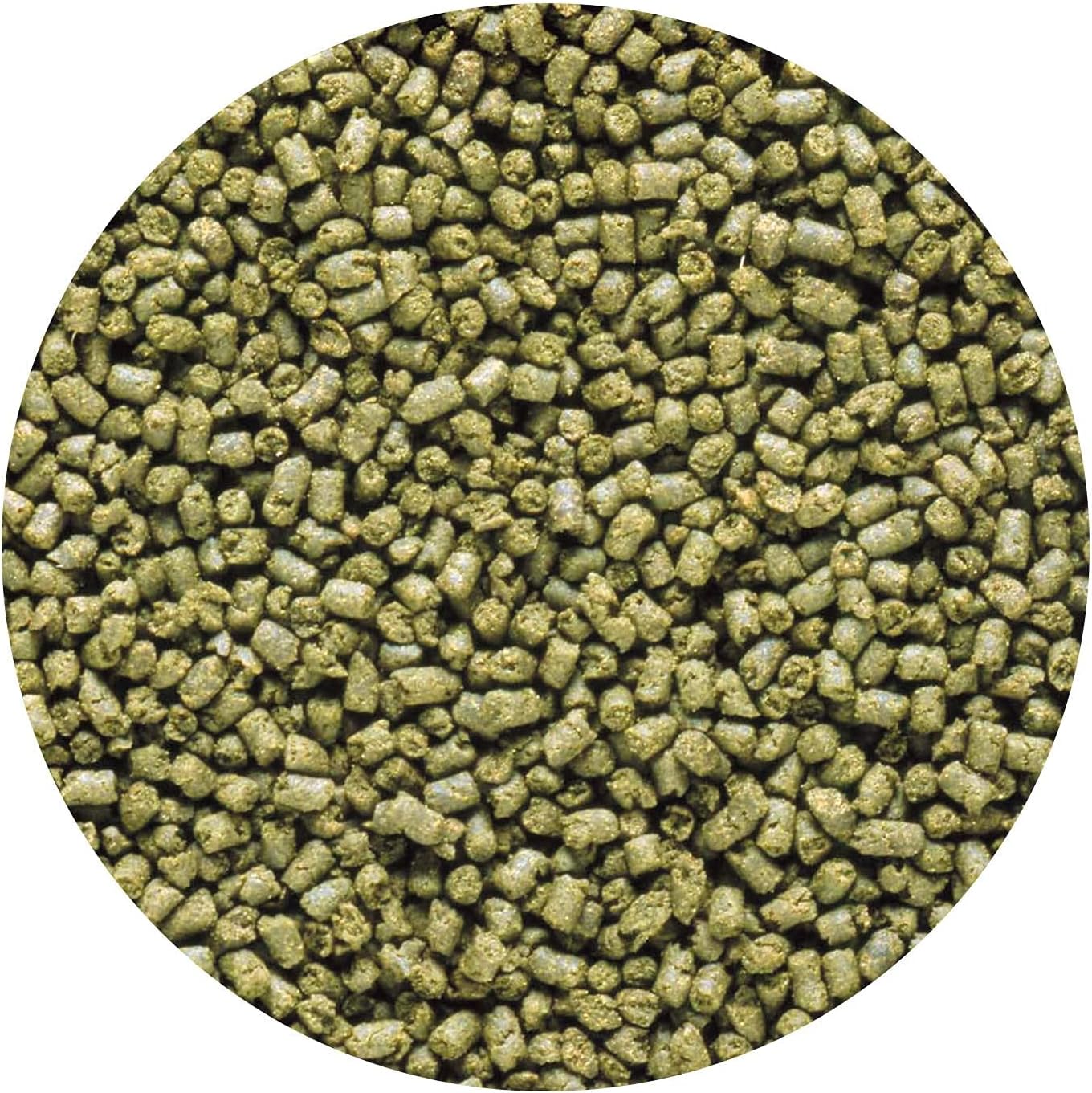 Hikari Medium Marine Herbivore Probiotic Enhanced Sinking Pellets, 3.17 Ounces Each - Image 3