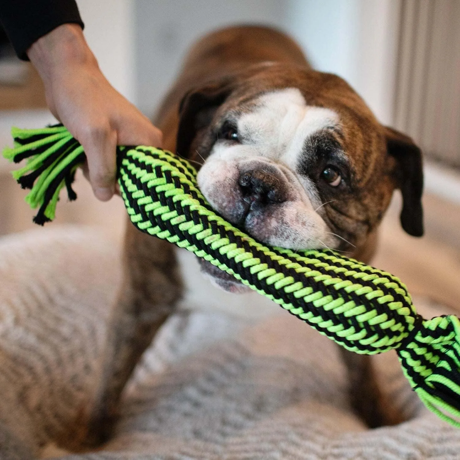 Jolly Pets® Knot-N-Chew Tube Squeaker