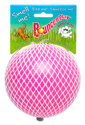 Jolly Pets Bounce-n-Play Dog Toy Ball - Image 3
