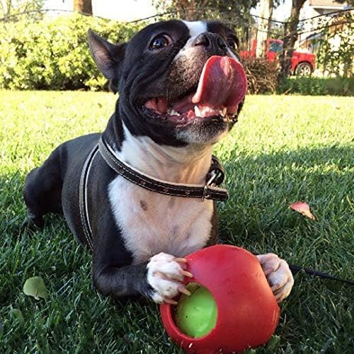 Jolly Pets Teaser Ball Dog Toy - Image 3