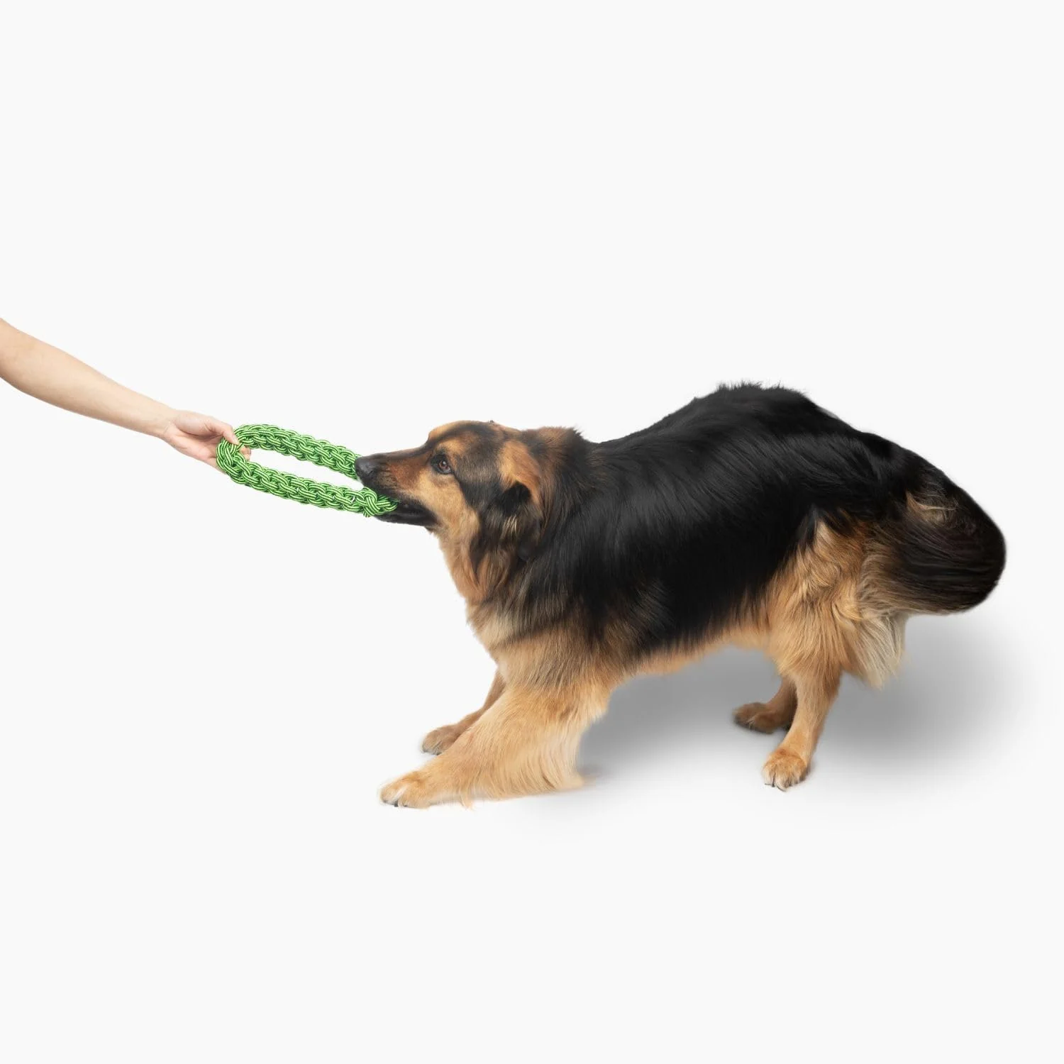 Jolly Pets TIK-Tak-Tugzz Rope Dog Toy - Image 2