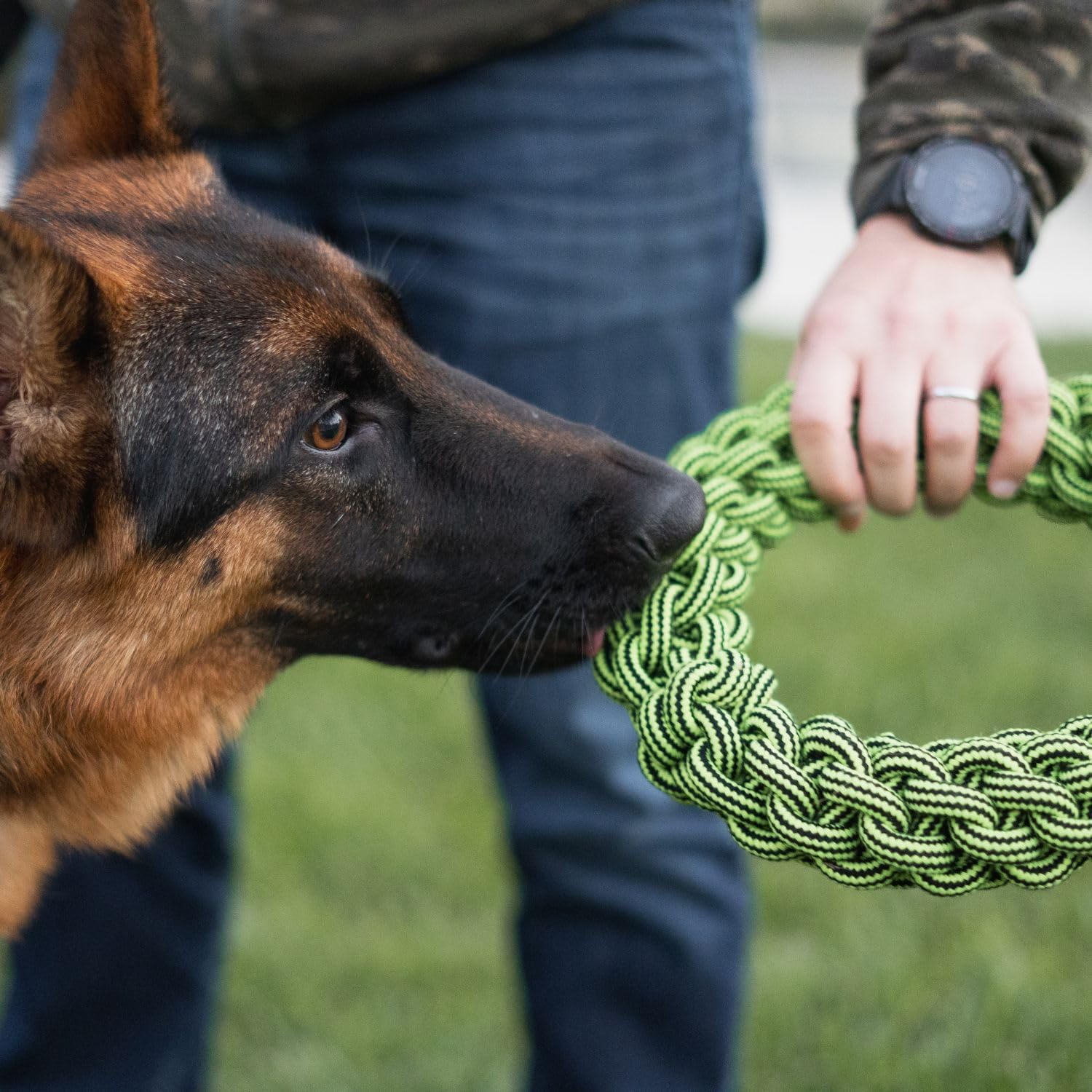 Jolly Pets TIK-Tak-Tugzz Rope Dog Toy - Image 4