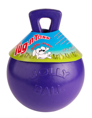 Jolly Pets Tug-n-Toss Heavy Duty Dog Toy Ball with Handle - Image 12