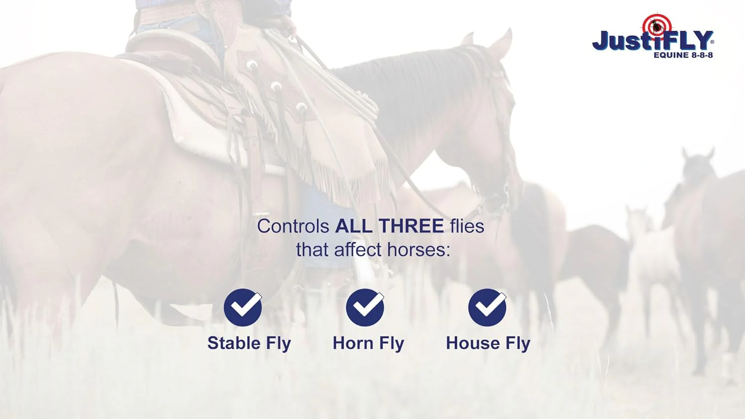 JustiFLY® Equine 8-8-8™ Top Dress – Long-Lasting Fly Control for Horses - Image 5