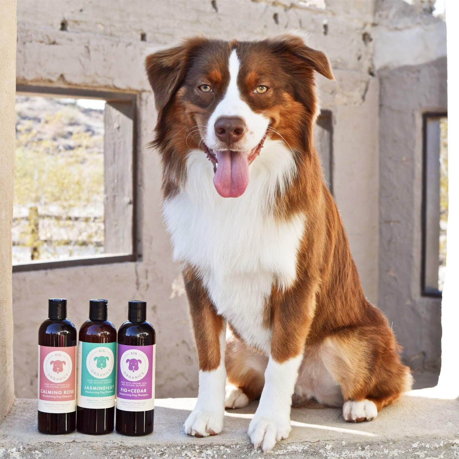 kin organics Fig+Cedar Organic Dog Shampoo - Image 7