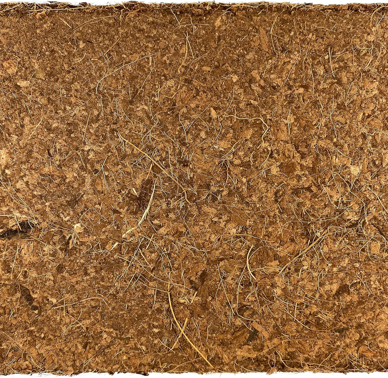 Komodo Coconut Coir Peat Brick | 100% Natural Coconut Coir Reptile Terrarium Habitat Bedding | for Tropical or Desert Environments | Fits up to a 20 Gallon Tank - Image 5