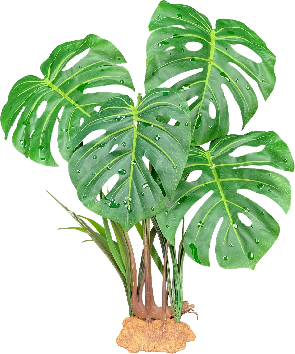 Komodo Standing Plant - Image 2