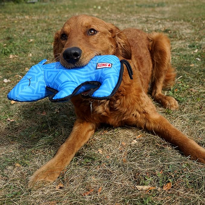 KONG Ballistic Durable Squeaker Dog Toy (Rhino) - Image 4
