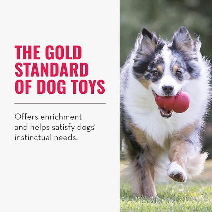 KONG Classic Stuffable Dog Toy - Fetch & Chew Toy for Dogs - Treat-Filling Capabilities & Erratic Bounce for Extended Play Time - Durable Natural Rubber Material - Image 6