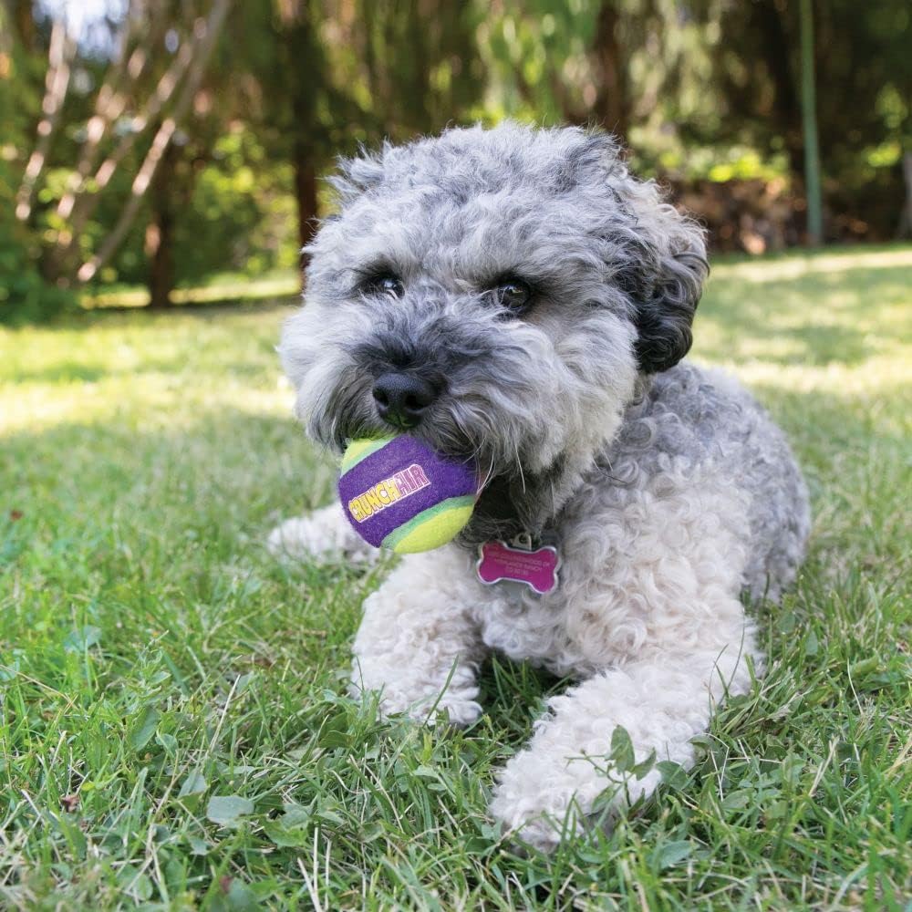 KONG Crunch Air Ball Dog Toy – Medium 1 ball - Image 2