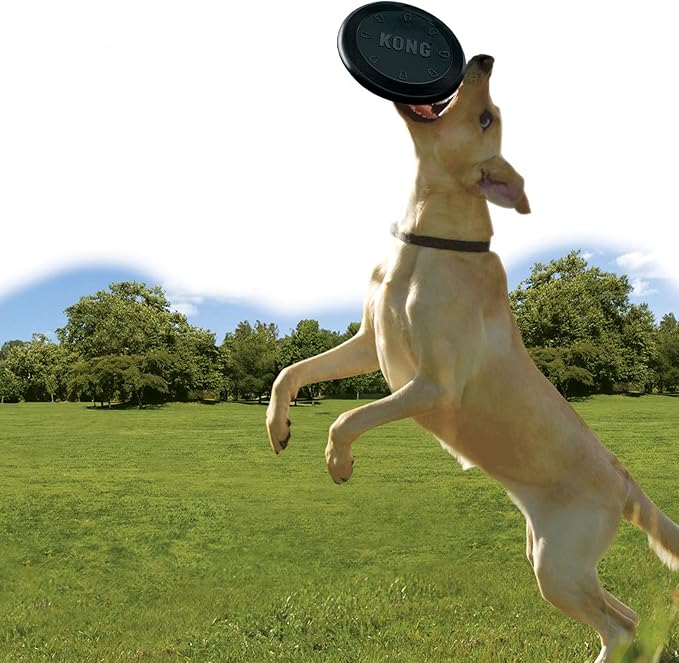 KONG Extreme Flyer - Dog Toy Supports Healthy Exercise - Soft Disc for Dogs - Toy for Fetch & Retrieve - Durable Flying Disc Dog Toy with Rebound - Image 2