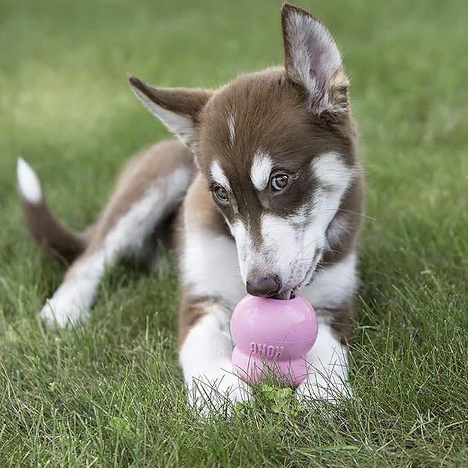 KONG Puppy Easy Treat - Easy-to-Use Pet Treat for Dog Toys - Puppy Supplies to Extend Playtime - Dog Snack Aids Weight Management - Long-Lasting Snack with Mess-Free Nozzle - Puppy Recipe - Image 5