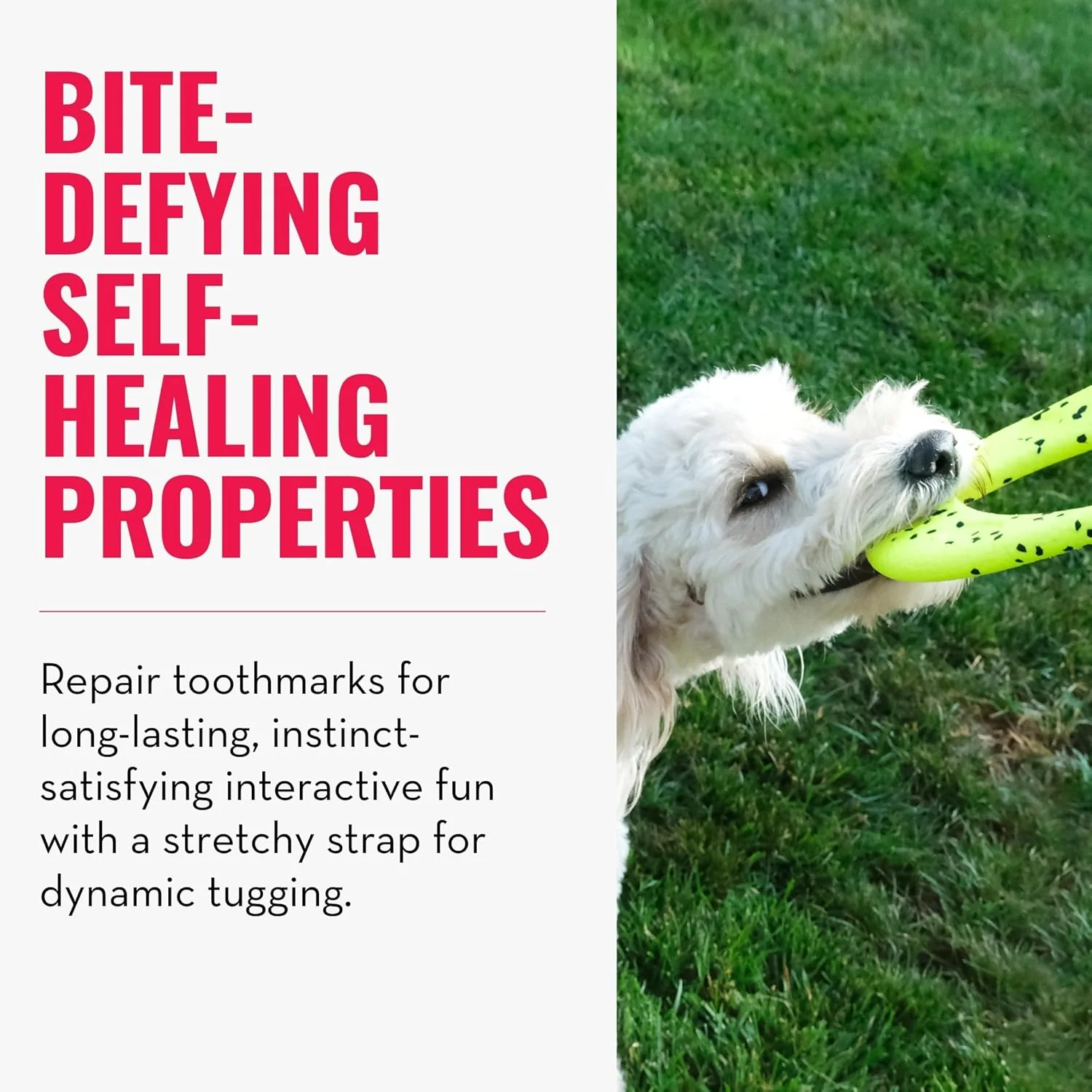 KONG Reflex Flyer – Durable Dog Fetch Toy - Image 3