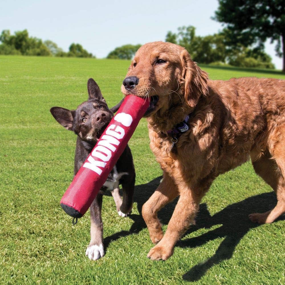 KONG Signature Stick Dog Toy – Medium - Image 2