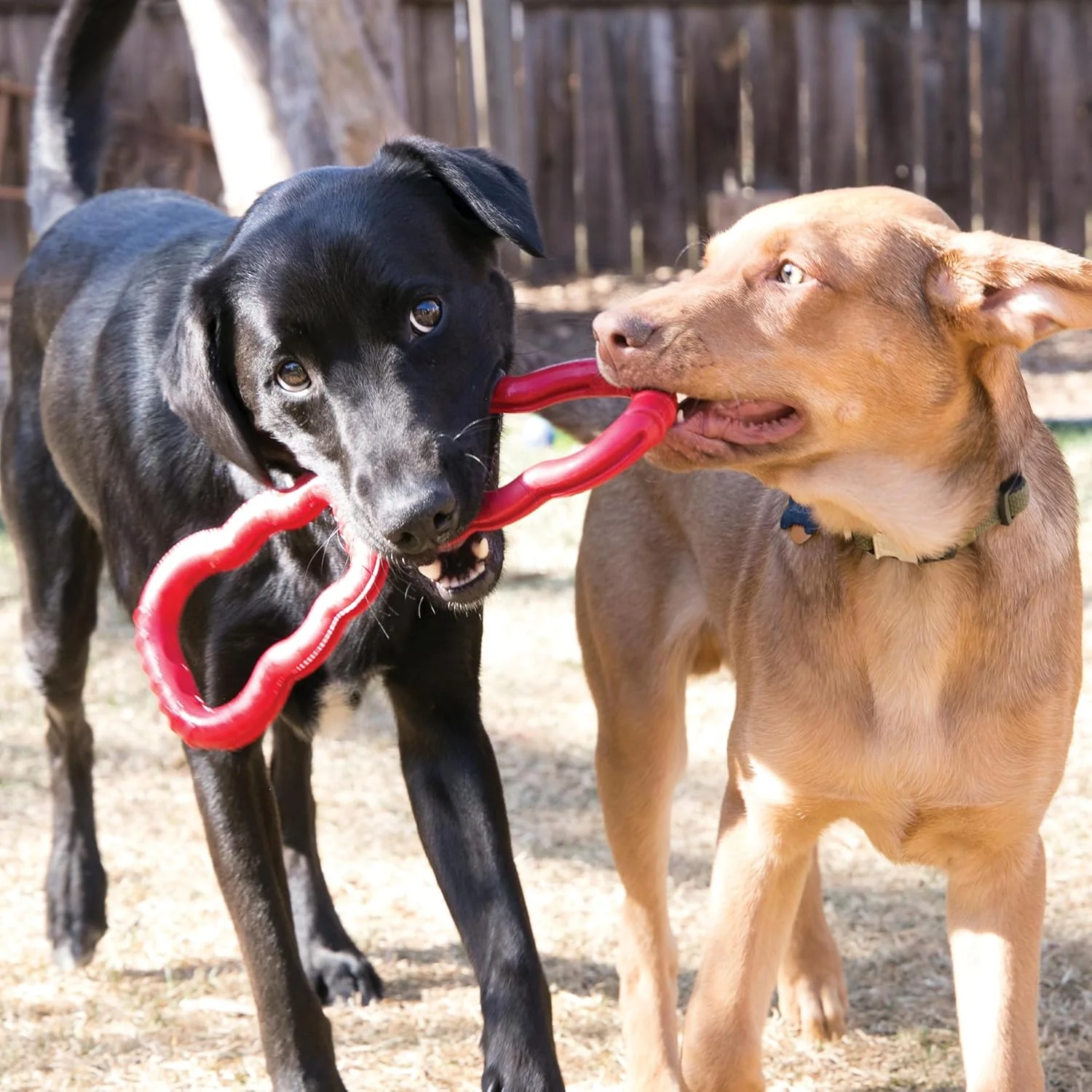 KONG Tug Toy – Medium/Large - Image 3
