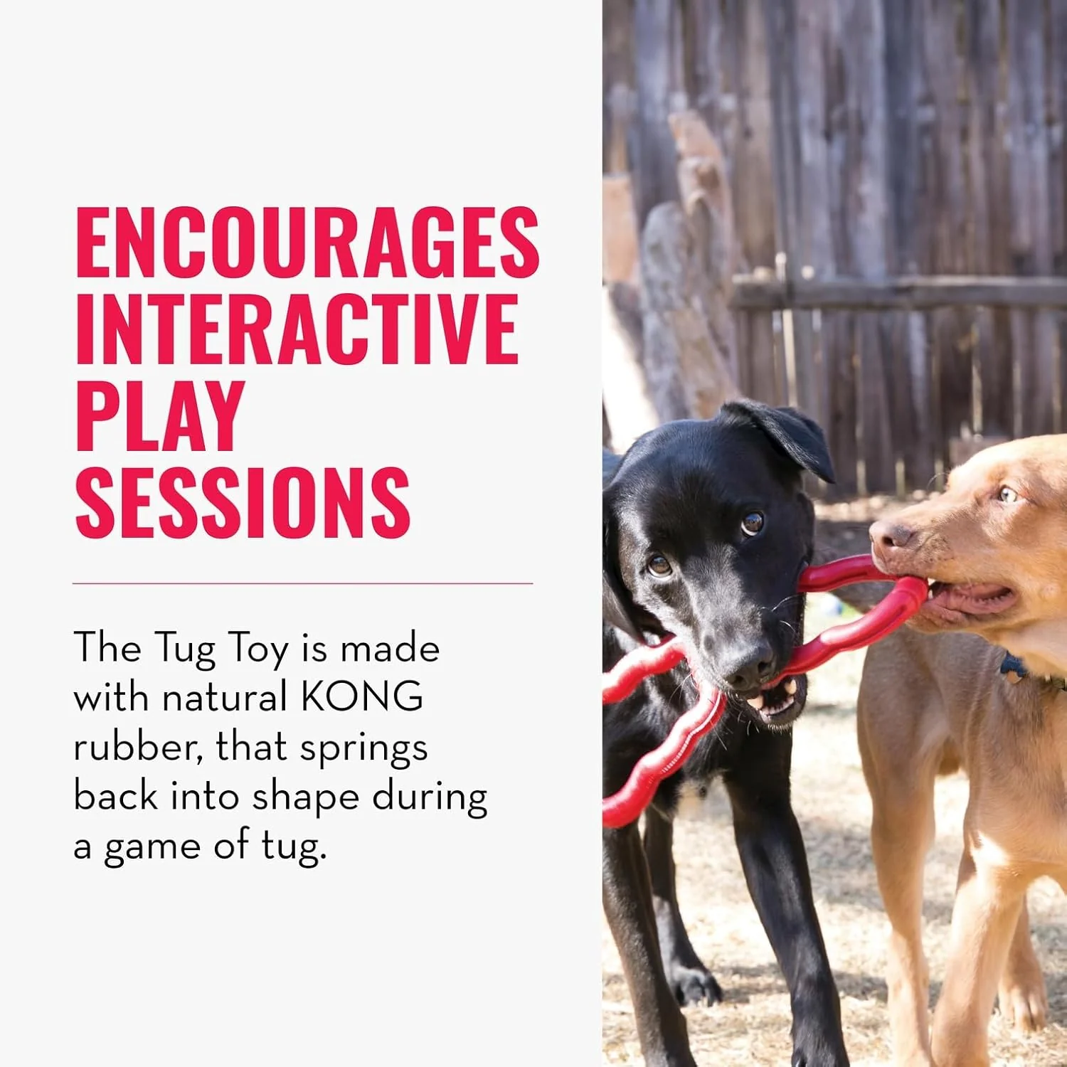 KONG Tug Toy – Medium/Large - Image 4