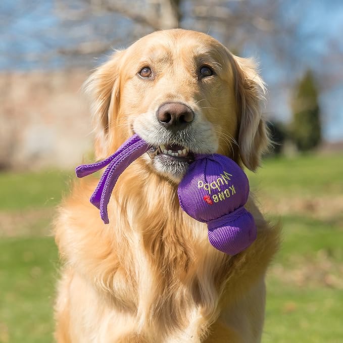 KONG Wubba - Dog Toy for Tug of War & Fetch - Dog Supplies for Puppy & Dog Playtime - Outdoor & Indoor Dog Toy - Image 3