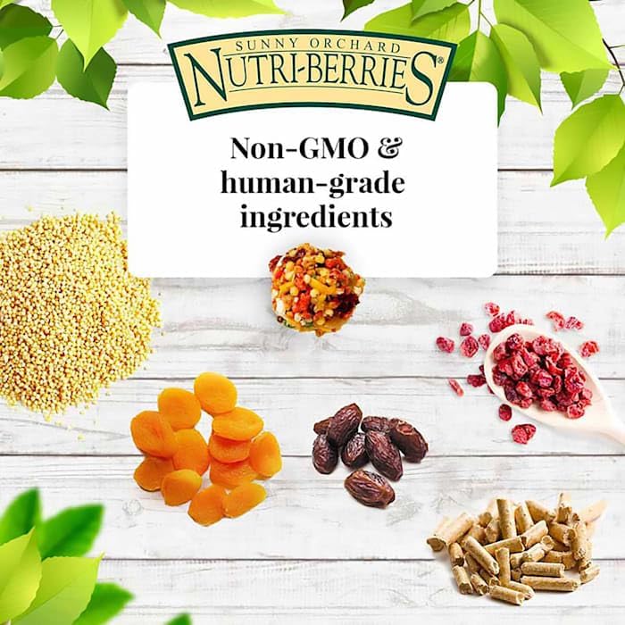 Lafeber's Gourmet Sunny Orchard Nutri-Berries ,10 oz bag - Image 6