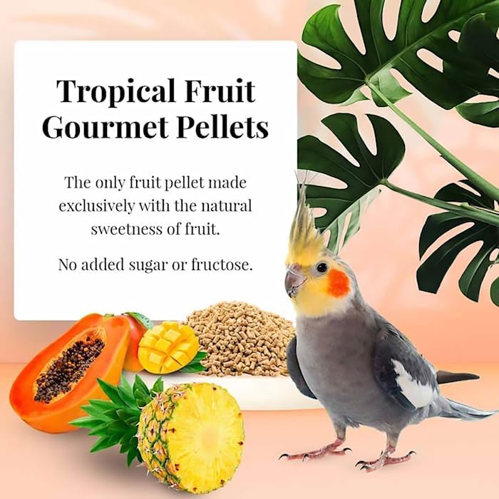 LAFEBER'S Tropical Fruit Gourmet Pellets Pet Bird Food, No Added Sugar, Made with Non-GMO and Human-Grade Ingredients, 1.25 lb - Image 8
