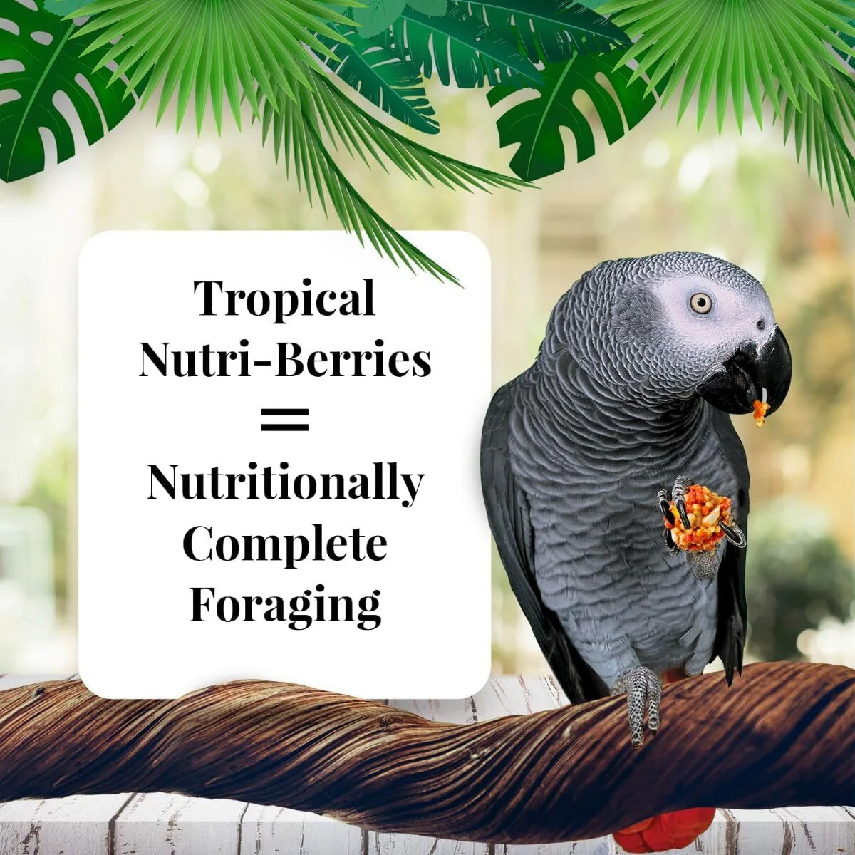 LAFEBER'S Tropical Fruit Nutri-Berries Pet Bird Food, Made with Non-GMO and Human-Grade Ingredients 3 lb - Image 2