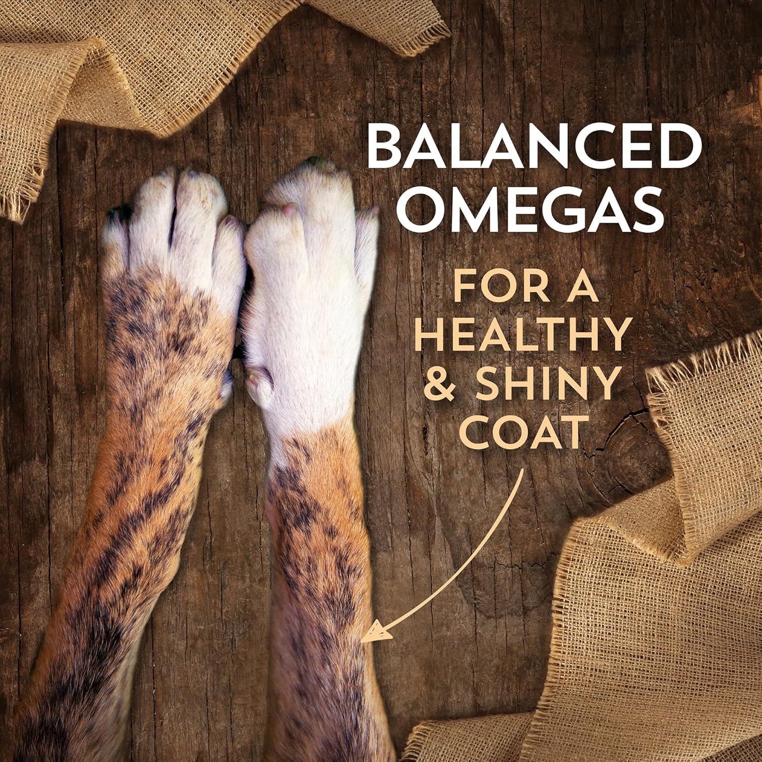 Lamb Meal & Potatoes Grain-Free Dry Food for Adult Dogs 35 lb - Image 3