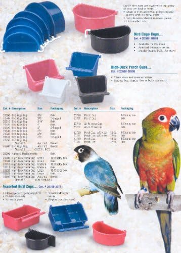 Lee's Parrot Cup Bulk - Image 2