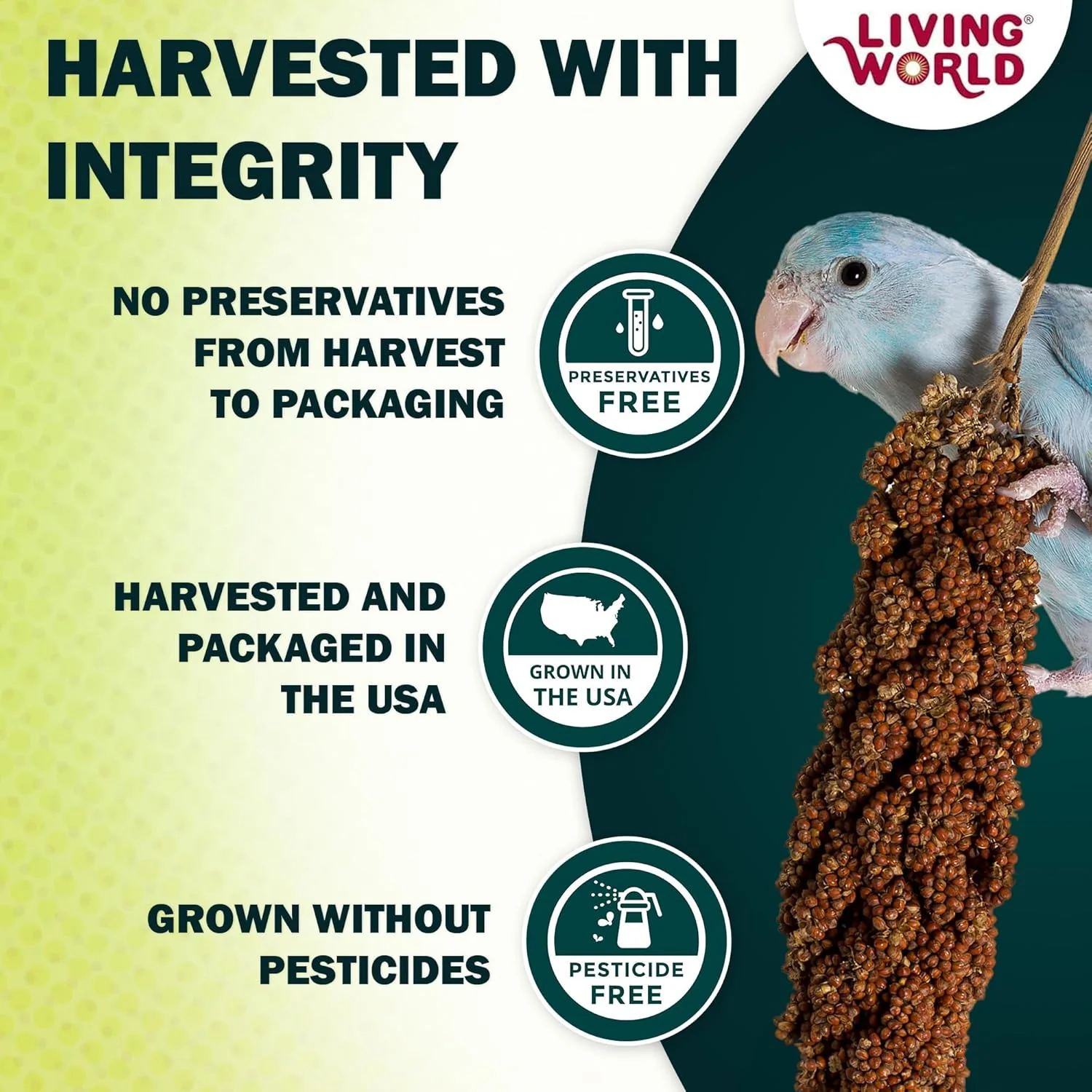 Living World - Millet Spray for Birds, Premium Treat for Budgies, Canaries, Finches, Cockatiels and Other Pet Birds - Image 3