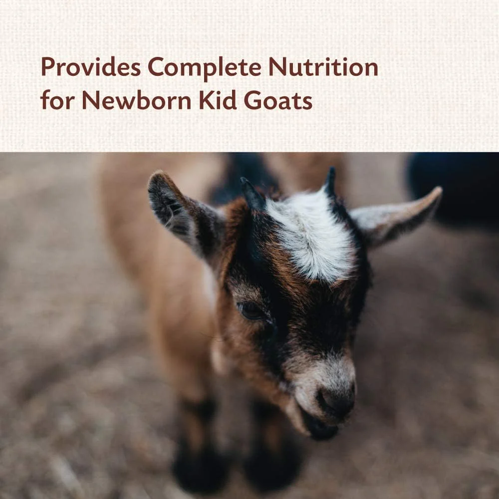 Manna Pro® Kid Colostrum – 8 oz Supplement for Newborn Goat Kids - Image 6