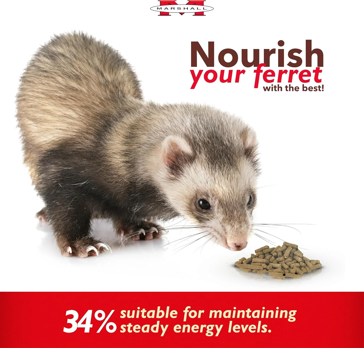 Marshall Pet Products Premium Ferret Diet Dry Food - Image 3