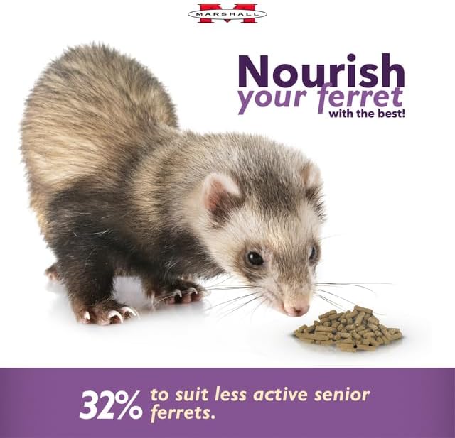 Marshall Pet Products Premium Ferret Diet Senior Formula Dry Food 1ea/4 lb - Image 3