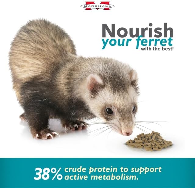 Marshall Pet Products Select Chicken Formula Premium Ferret Diet, 4 lbs – Protein-Rich Food for Balanced Nutrition, Digestive Support - Image 4