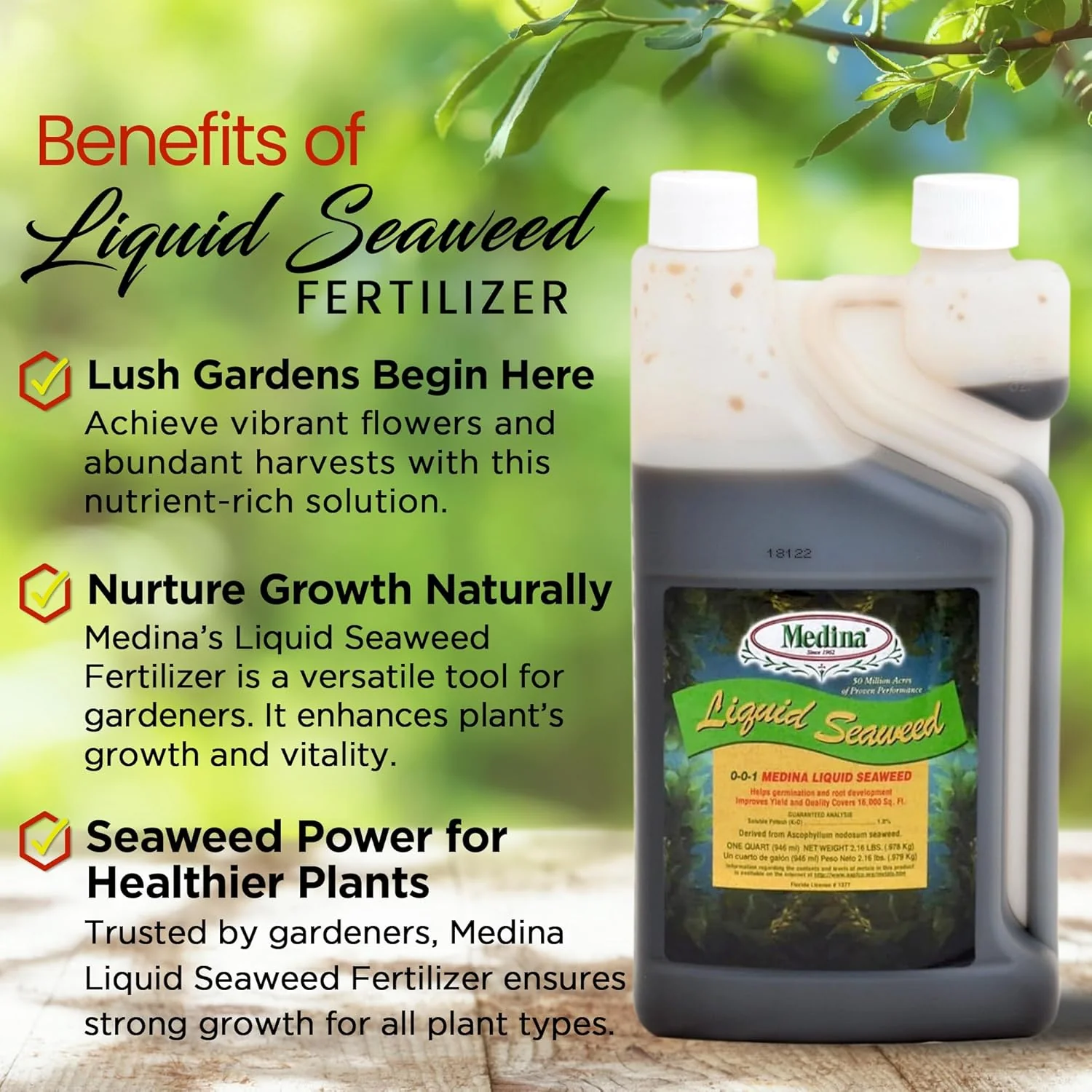 Medina® Liquid Seaweed - Image 2