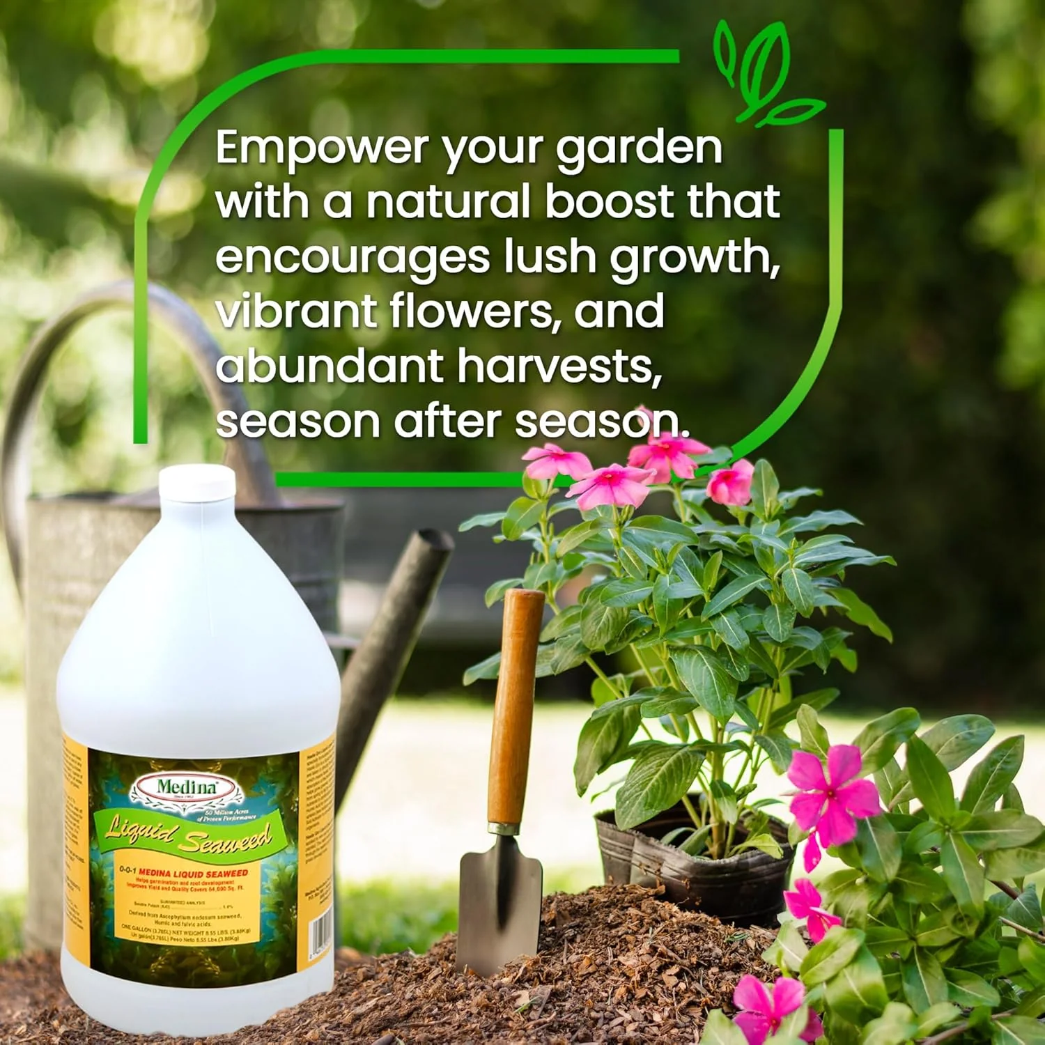 Medina® Liquid Seaweed - Image 9