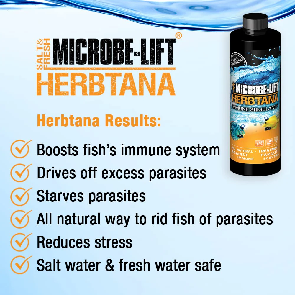 MICROBE-LIFT HERB08 Herbtana for Freshwater and Saltwater Home Aquariums and Fish Tanks - Image 4