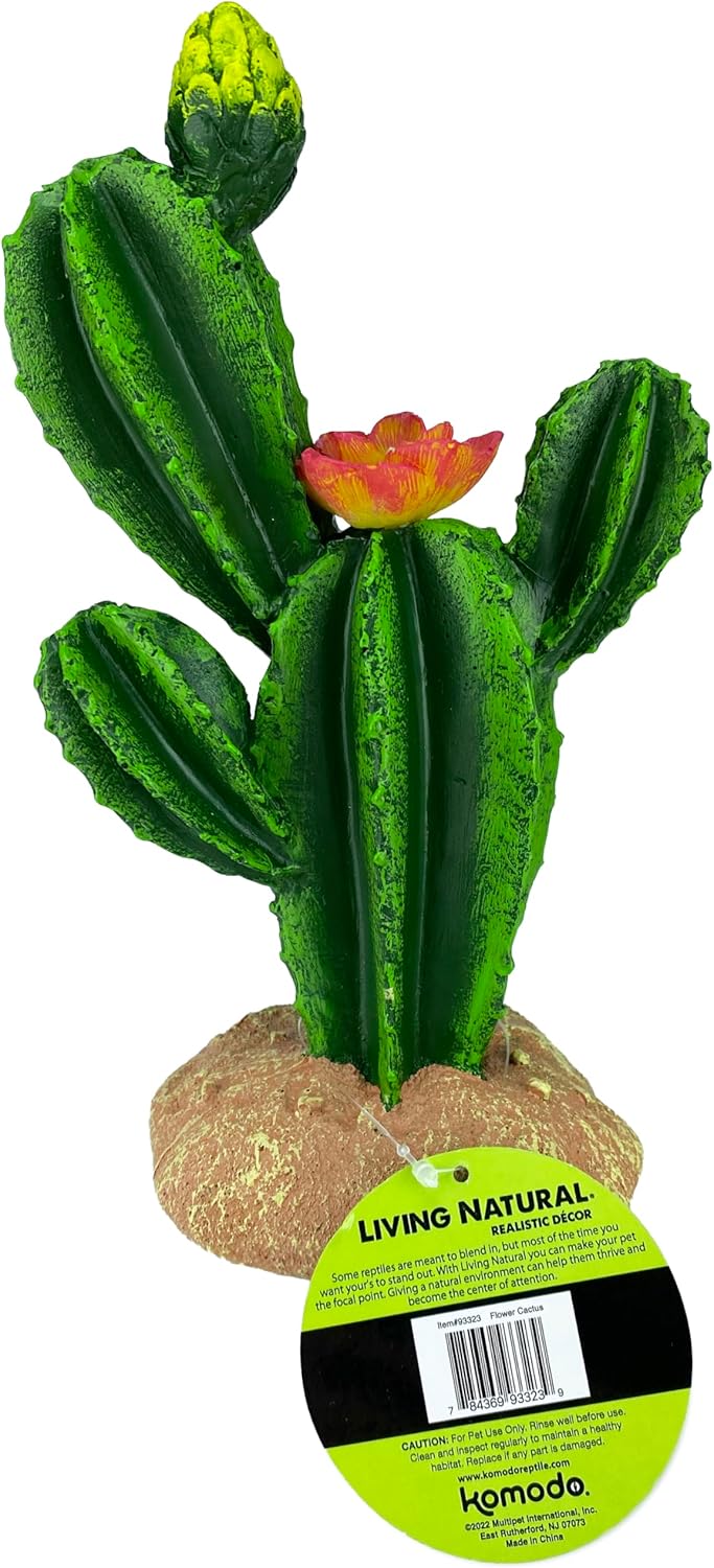 Multi Pet 48593323: Komodo Cactus Plant Flower, 9In - Image 4