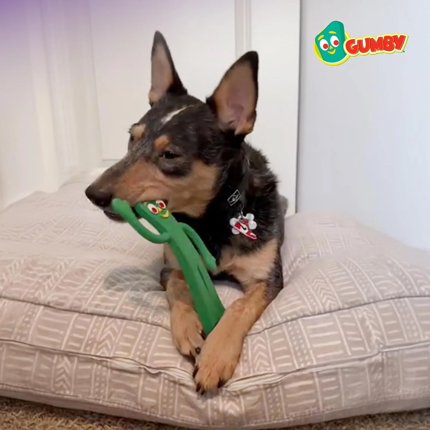 Multipet Gumby Latex Dog Toy - Squeaky Toy for All Dogs - Easy-to-Clean Dog Squeaky Toys - for Cuddling, Chewing & Playing - Cute Pet Toy (9", Green) - Image 8