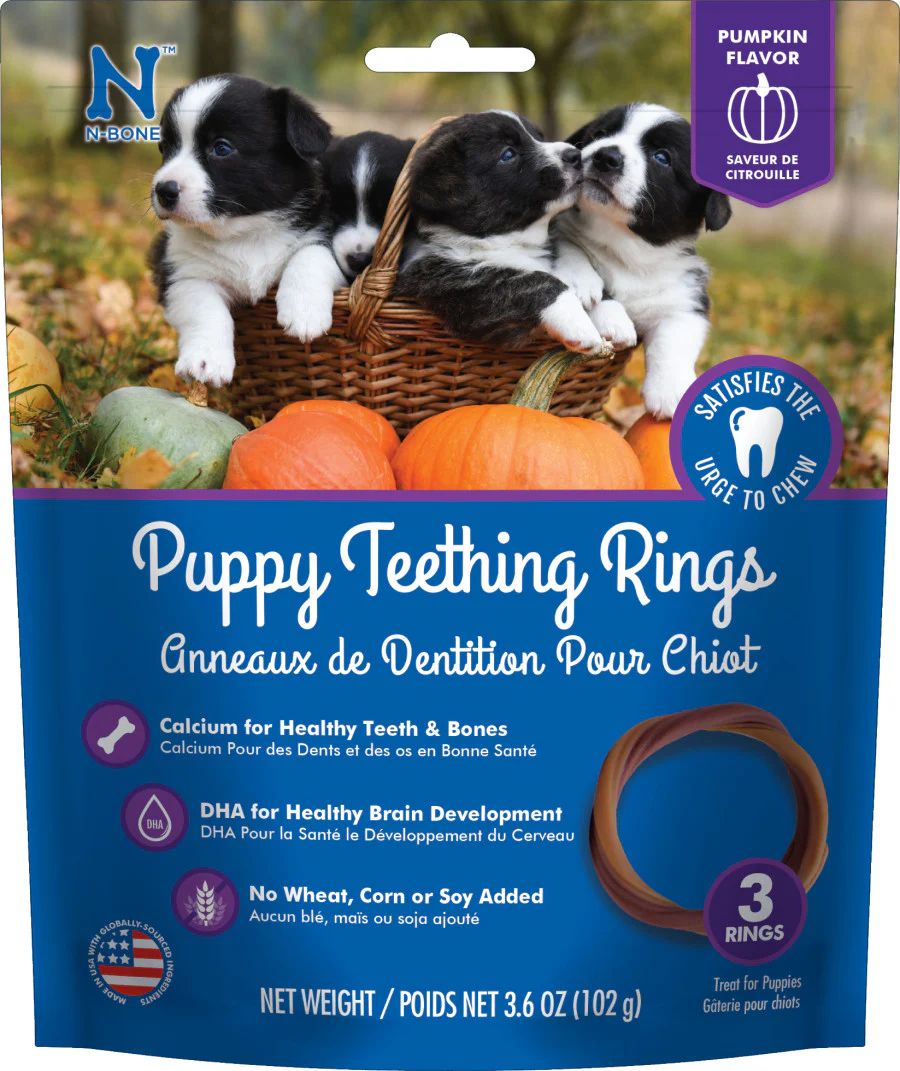 N-Bone Puppy Teething Ring Pumpkin Flavor - Image 7