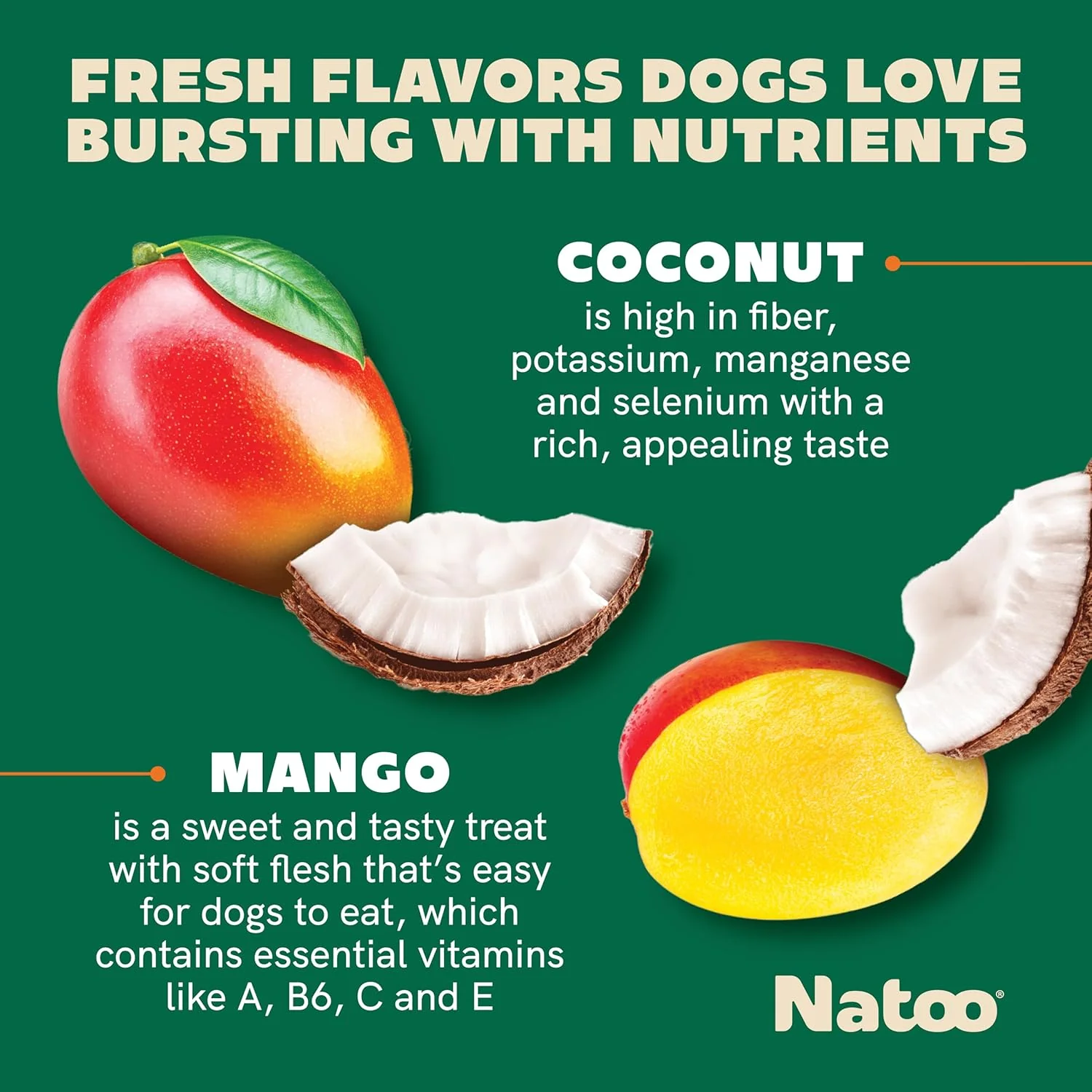 NATOO Biscuits for Small Dogs - Crunchy Treats Coconut & Mango – Healthy Natural Dog Biscuits, Rich in Omega 6, Prebiotics & Fibers, Antioxidants for Immunity (Puppies, 8 oz) - Image 2