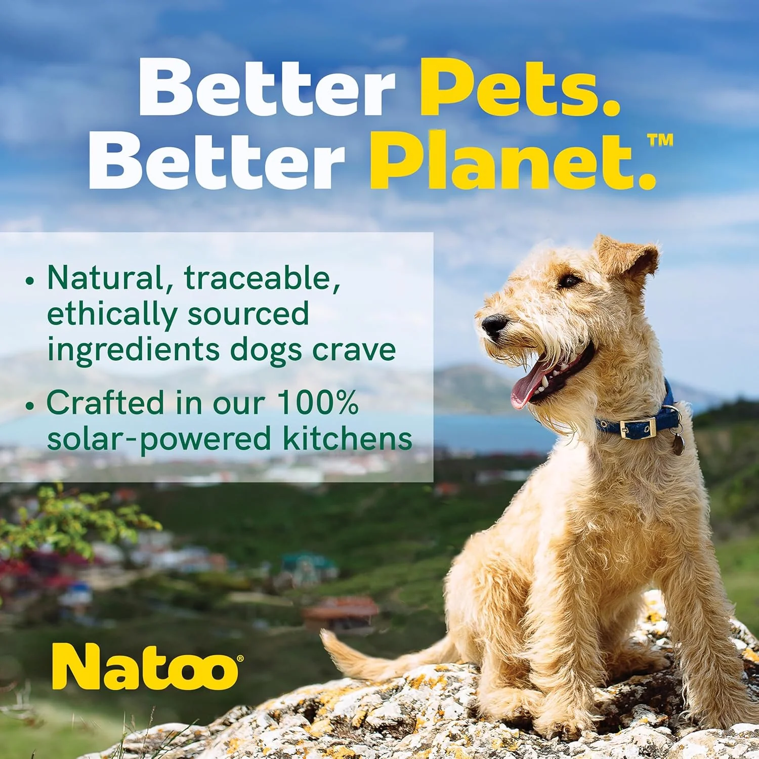 NATOO Dog Food Topper for Picky Eaters & Dog Treat (Salmon with Brown Rice), Dog Toppers for Dry Food, Wet Meal Toppers for Dogs & Puppies, Limited Ingredient Dog Food, 3 oz (Case of 20) - Image 4